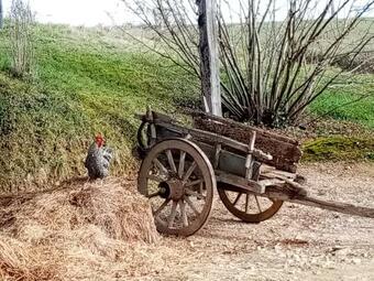 Bed & Breakfast La Gurlanne