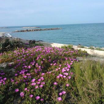 Apartamento Charmant T 2 Vue Mer Pied Dans L'eau