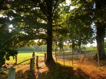 G�te Calme Et Spacieux Pour Amoureux de La Nature