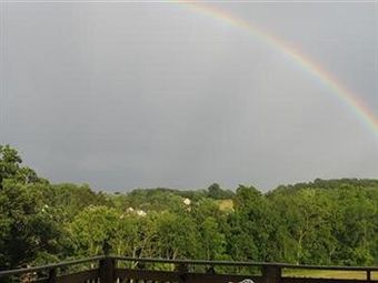 Berry Patch Bed And Breakfast