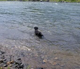 River Life On A Warm Sandy Beach