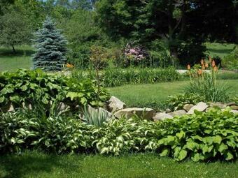 Baneberry Meadows B&B