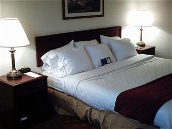 Hotel Holiday Inn Express Murrysville - Delmont