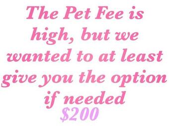 Posada Guest Area For Rent, Your Own Space!