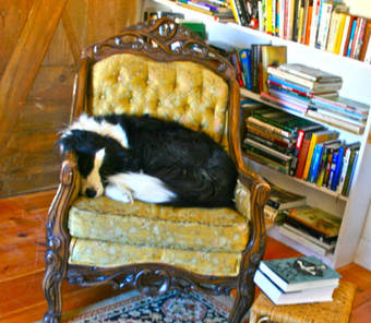 Bed & Breakfast Old Pioneer Garden