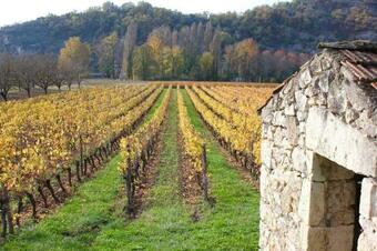 Hostal Castel Rouge