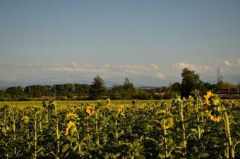 Bed & Breakfast La Cascadeta