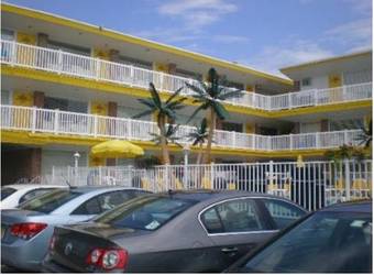 American Safari Motel