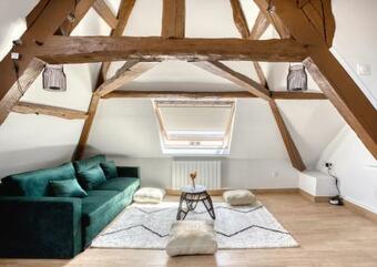 Apartamento ****chaletchic/cdg/asterix/parc Des Expos/paris****