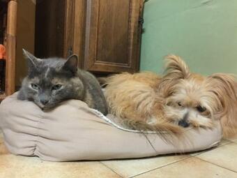 Bed & Breakfast Chambre D'h�te " Le Ponant "