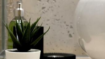 Hostal Mas Mill�sime - Chambre Double - Petit D�jeuner - Piscine - Mas Du Xviii�me Si�cle Proche Saint-r�my-de-provence