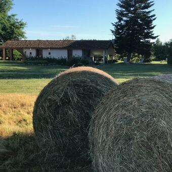 La Petite Maison