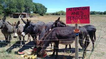 Domaine Sesquier Mas D'exception Jasmin