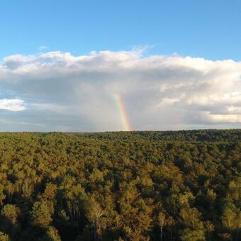 Millygite Roulotte - 4 Seasons Chalet-on-wheels