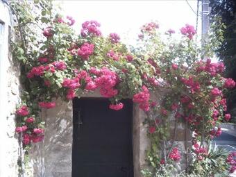 Bed & Breakfast Les Maharanis