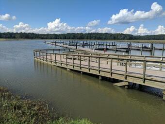 Hotel Surry Seafood Company