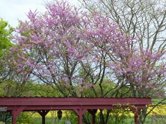 Bed & Breakfast Chalet Aux Pied Des Vignes
