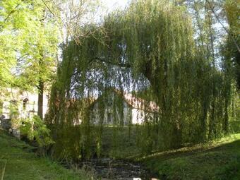 Bed & Breakfast Moulin Saurele