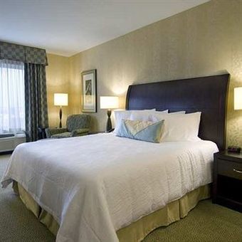 Hotel Hilton Garden Inn Detroit/novi