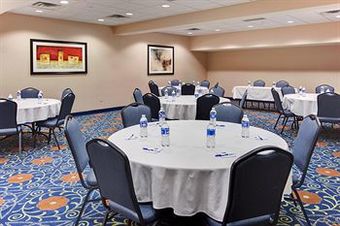 Holiday Inn Express Hotel & Suites - Novi