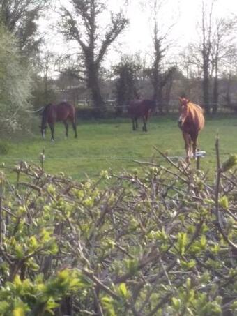 Bed & Breakfast La Ferme Du Souvenir