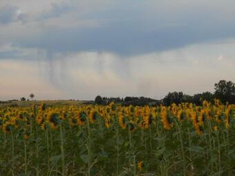 Bed & Breakfast Bastida De Beata