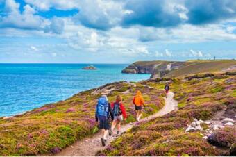 Chalet Dans Un Cadre Verdoyant