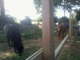 Halte Equine