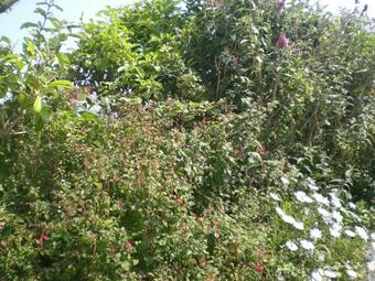 Bed & Breakfast Le Dolmen