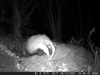 Bed & Breakfast Cantaranne