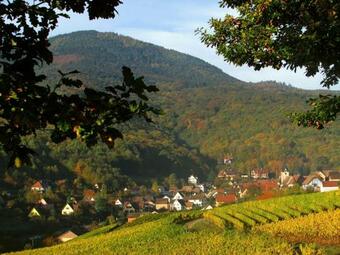 Bed & Breakfast Domaine Bleesz