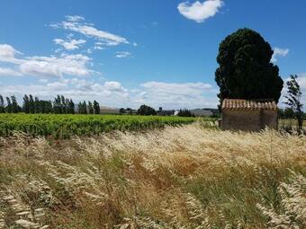 Gite Muscat