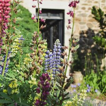 Le Moulin Des Attizals