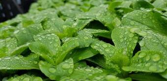 Apartamento C?ur Vert �kologisch Mit Viel Ambiente F�r Seelen-wellness