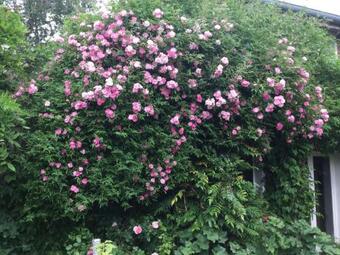 Bed & Breakfast Clos De Royaucourt