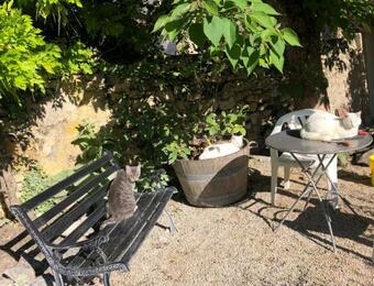 Le G�te De La Maison Des Chats