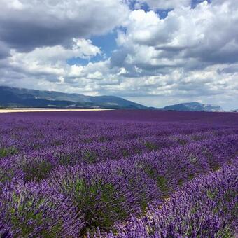 Apartamento Le Colombier Studio