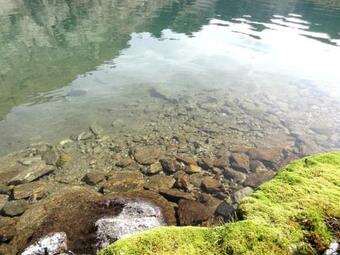 Apartamento Blaise 2 Pi�ces