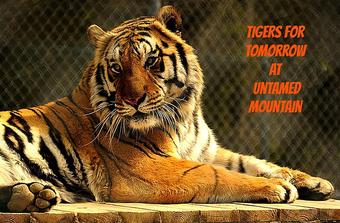 Best Western Plus Gadsden Hotel & Suites