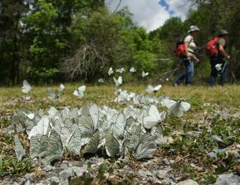 Bed & Breakfast Chambres D'hotes Les Clarines