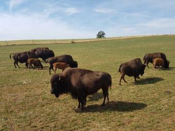 Apartamento Appartements Coeur De Village