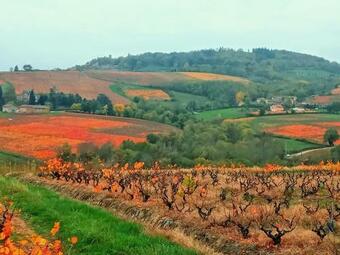 Bed & Breakfast Le Vieux Pont