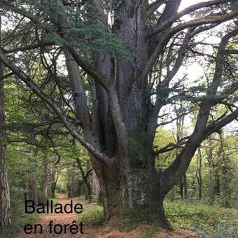 Bed & Breakfast Domaine De Saint Loth'