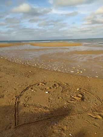 Ver fotos