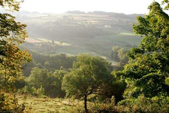 Gites Le Ch�ne & Le Tilleul