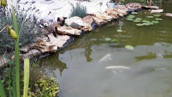 Bed & Breakfast La Maison Du Bonheur