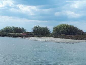 Apartamento Le Studio Nord 2 �toiles Salin-de-giraud Camargue Mer