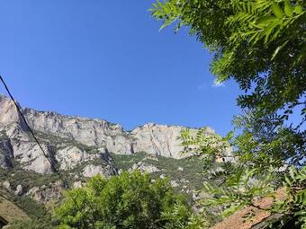 La Glycine