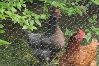 Bed & Breakfast Au Coeur De Soissons 1