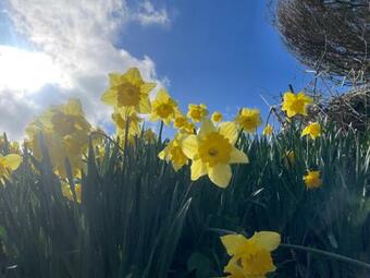 Apartamento Appartement Confortable Et Isol� � La Campagne